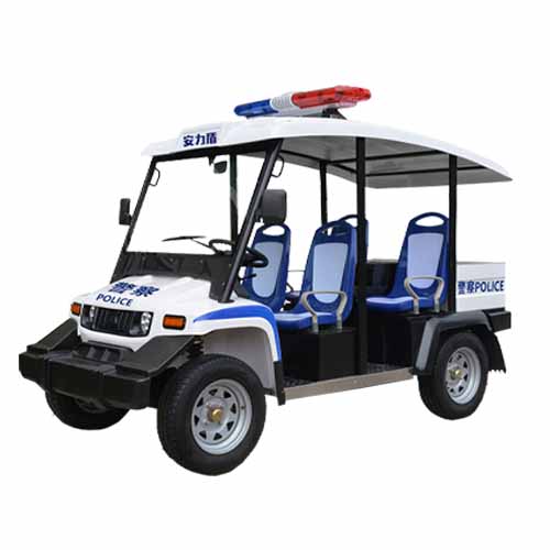 四座电动车.jpg